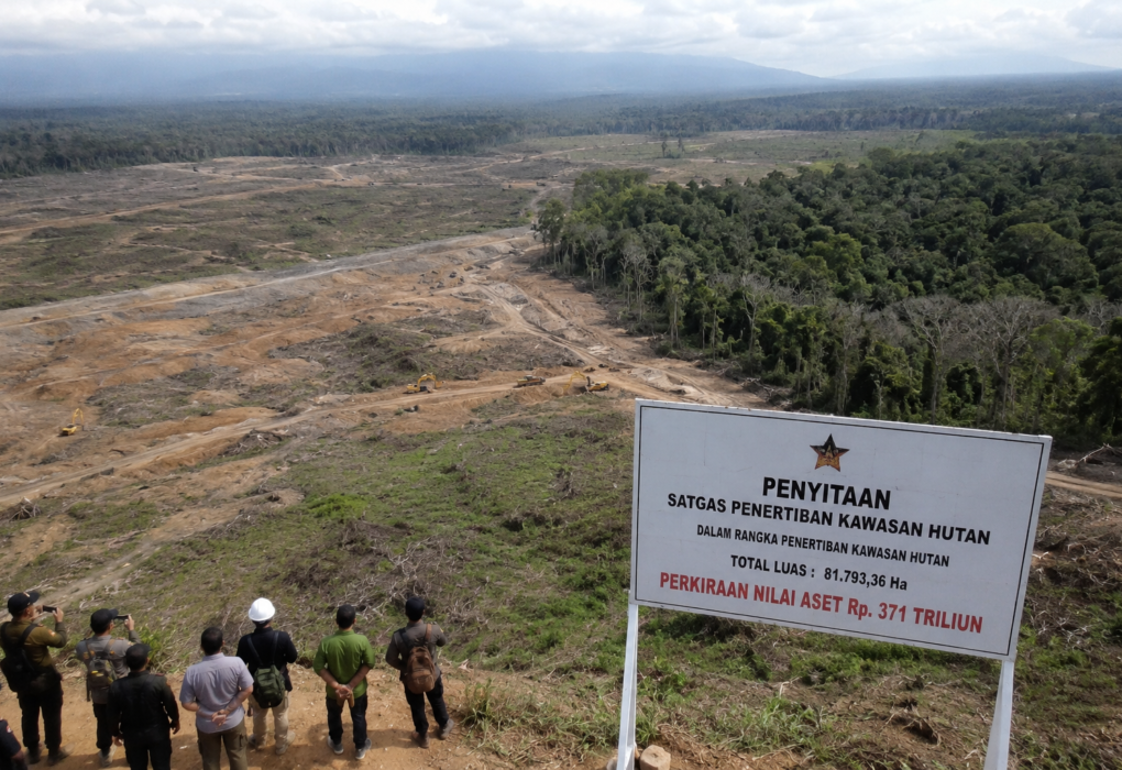 Pemerintah Klaim Berhasil Rebut Kembali Aset Rp371 Triliun dari Kawasan Hutan