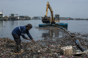 Pulau Sampah Muara Angke Nyaris Tuntas Dibersihkan, Pemprov DKI Akan Gelar Inspeksi Rutin