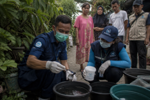 Kasus DBD di Kembangan Turun 60 Persen Setelah Uji Coba Nyamuk Wolbachia