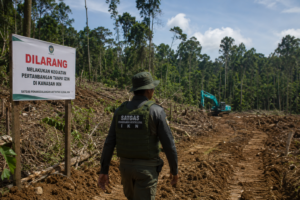 Satgas Klaim Kawasan Konservasi IKN Kini Bebas Tambang Ilegal, Fokus Beralih ke Area Penyangga