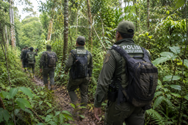 Kemenhut Rekrut 23 Ribu Polisi Hutan dalam Tiga Tahun, Perkuat Pengawasan Kawasan Hutan