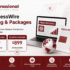 BusinessWire Pricing